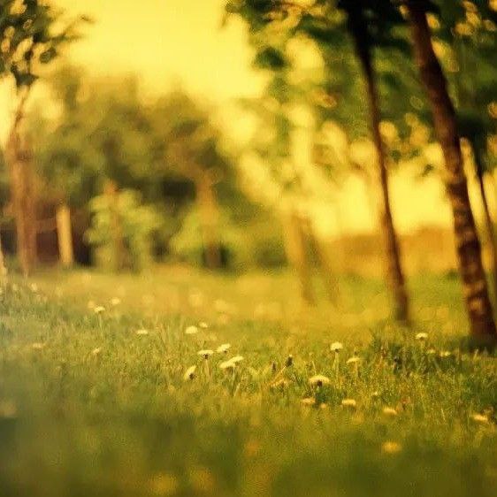 آهنگ جدید  لایی میکشم مویی دافه بغلم میگه ویی